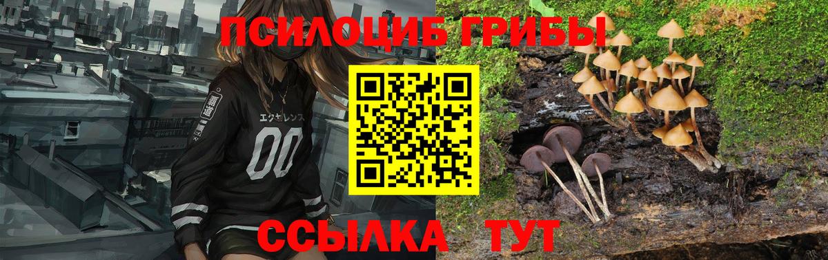Псилоцибиновые грибы Psilocybine cubensis Подольск